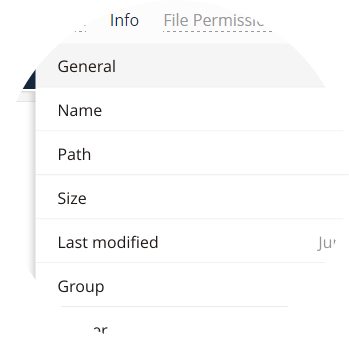 File info